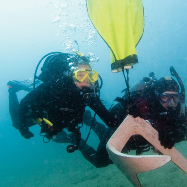Search And Recovery