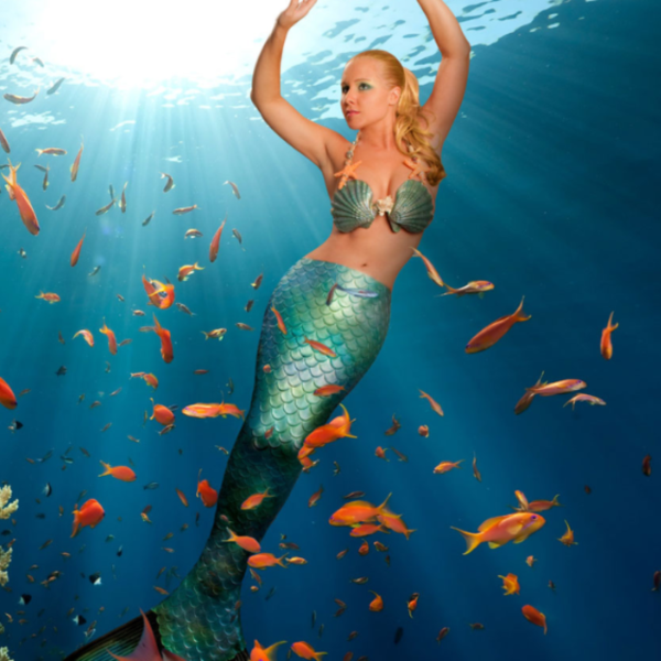 Discover Mermaid