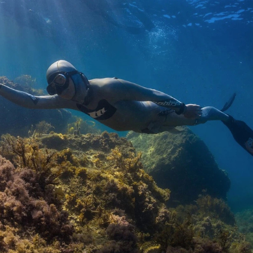 Basic Freediver