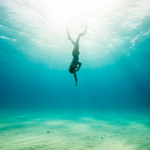 Advanced Freediver