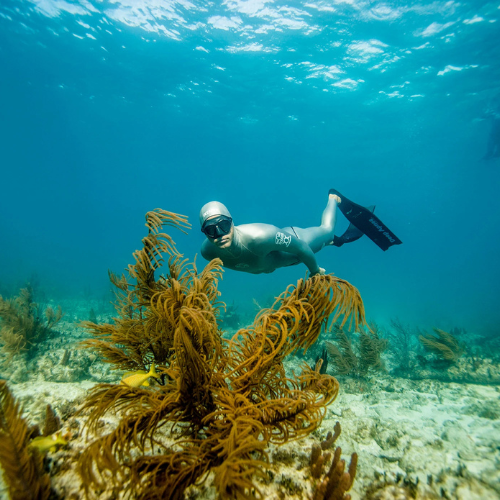Master Freediver
