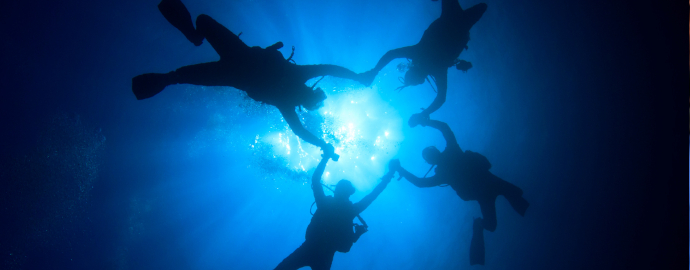 Diver