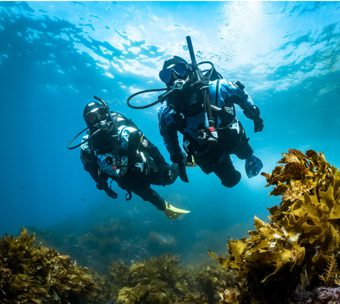Divers
