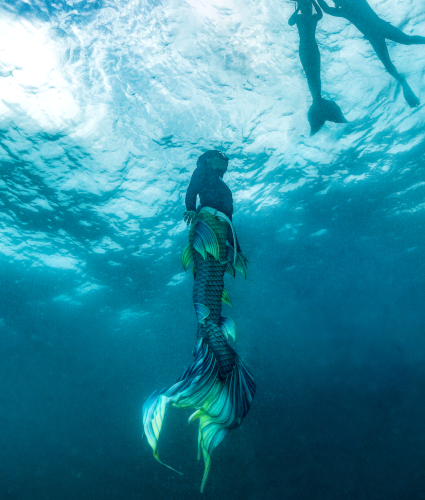 Mermaid